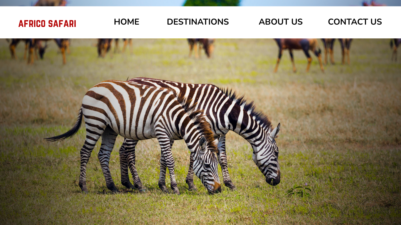 tupo Host Website For Safari & Tours
